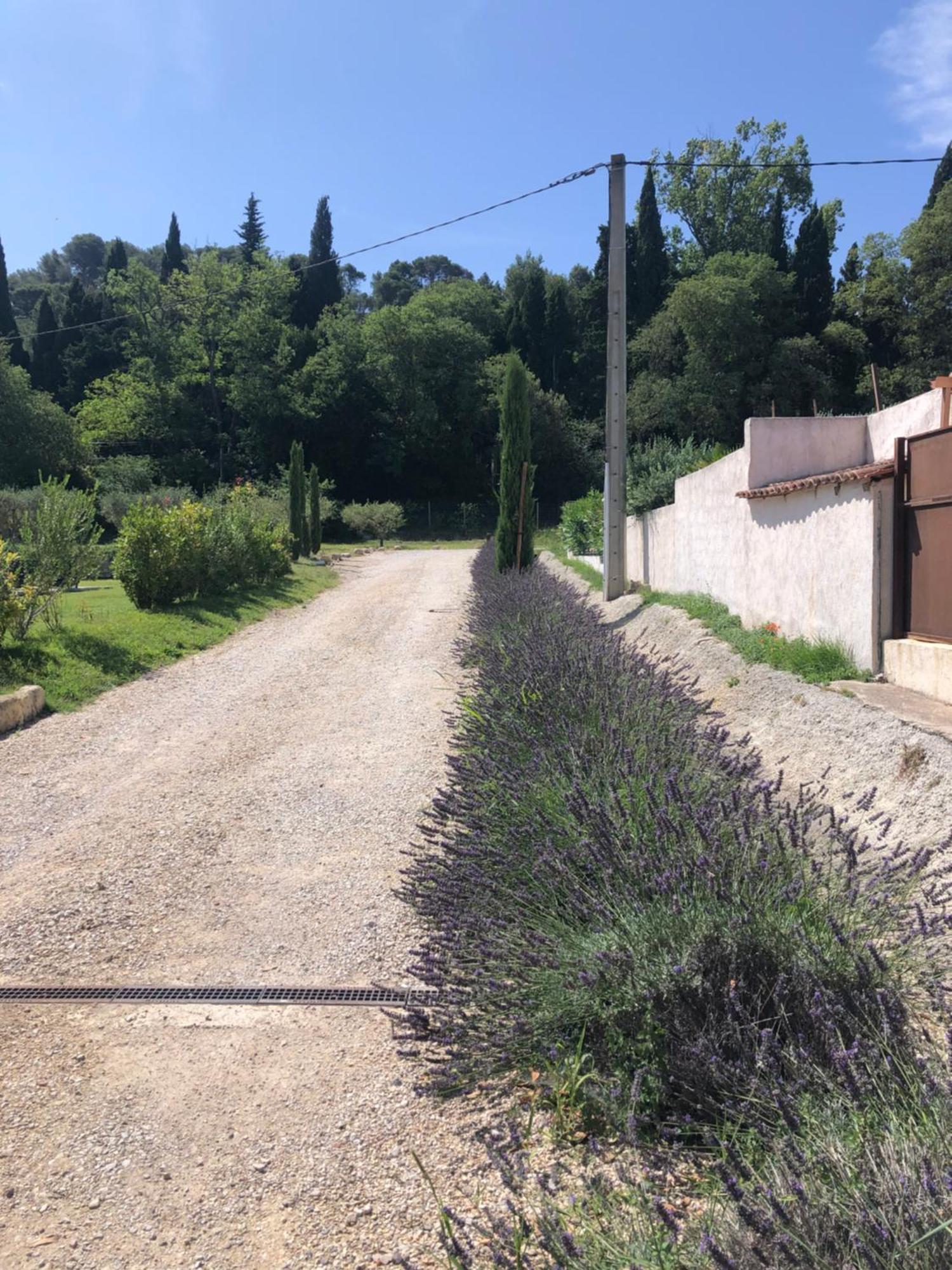 Apartament Gite De Notre Dame Saint-Étienne-du-Grès Zewnętrze zdjęcie